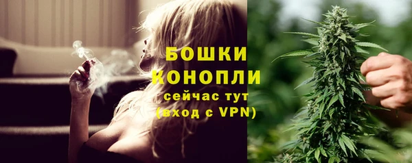 трава Пересвет