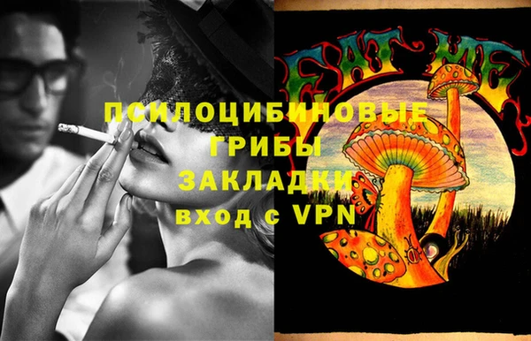прущие грибы Осташков