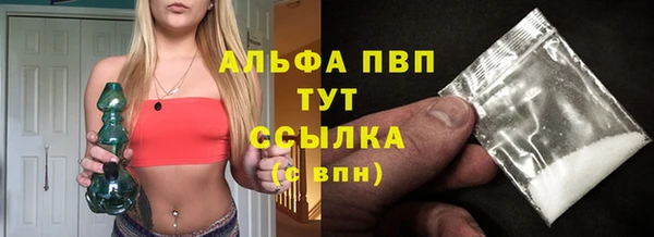 трава Пересвет