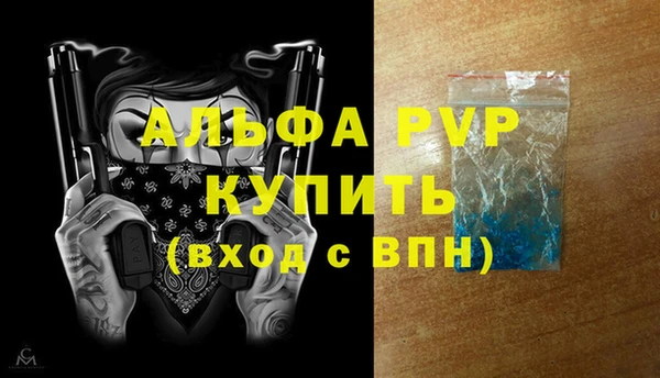 прущие грибы Осташков