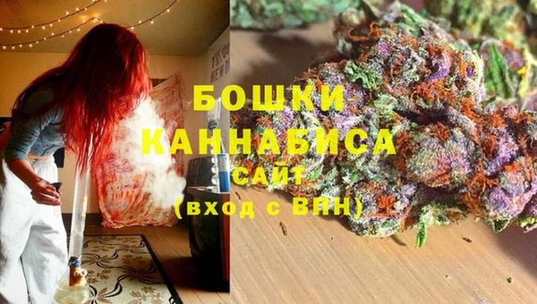 прущие грибы Осташков