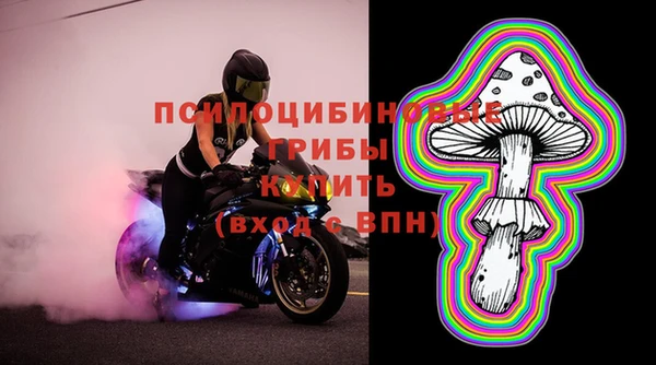 прущие грибы Осташков