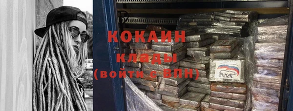 прущие грибы Осташков