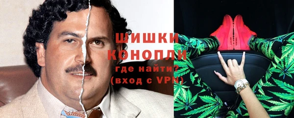 трава Пересвет