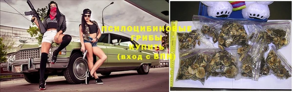 таблы Осинники