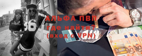 индика Гатчина