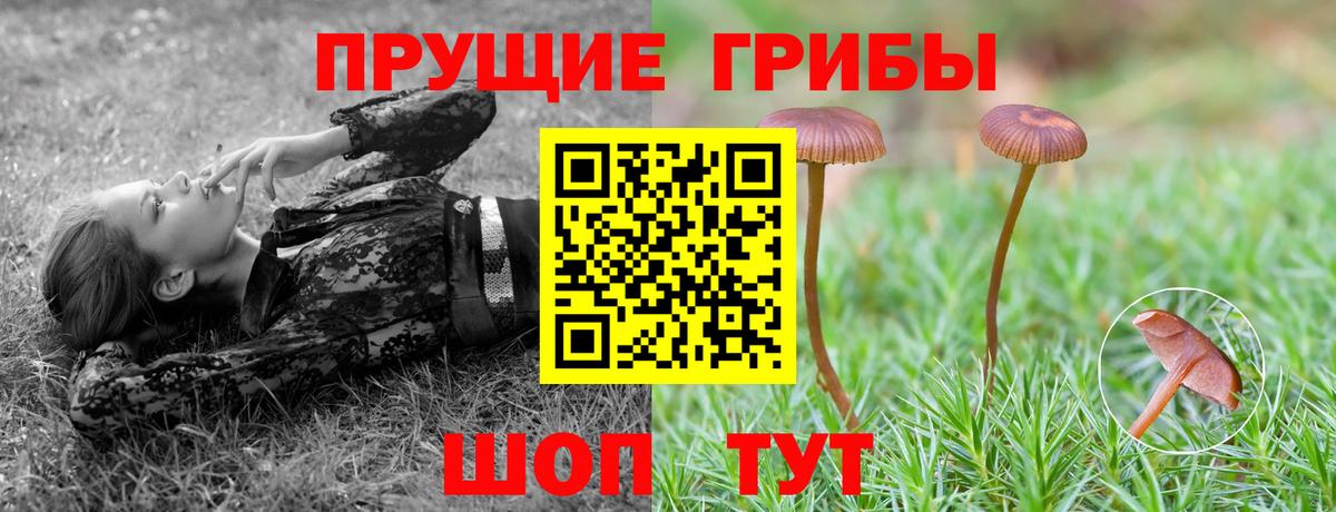 Псилоцибиновые грибы Magic Shrooms  Псилоцибиновые грибы ЛСД  Вход с VPN  Ртищево 
