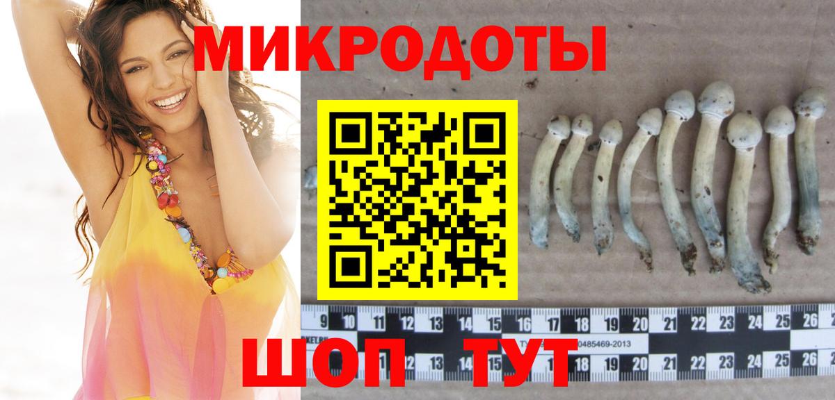 Псилоцибиновые грибы ЛСД Ртищево